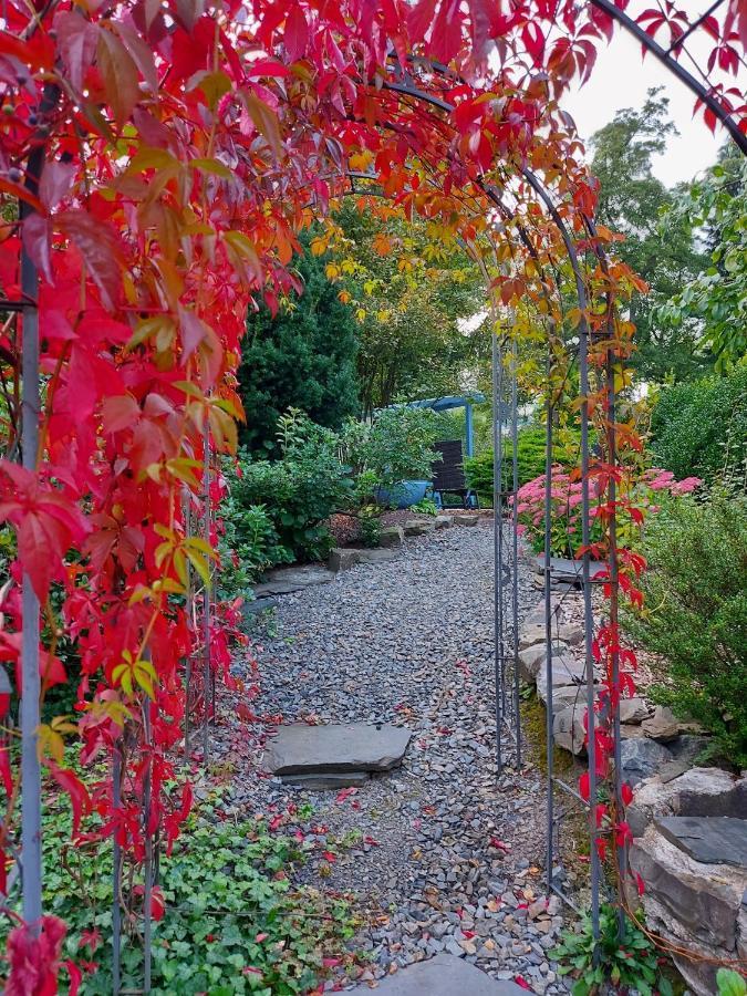 באד ברלבורג Maries Bunte Villa מראה חיצוני תמונה